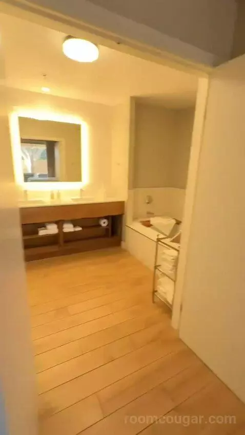 Windansea Suite (#500) bathroom picture #4