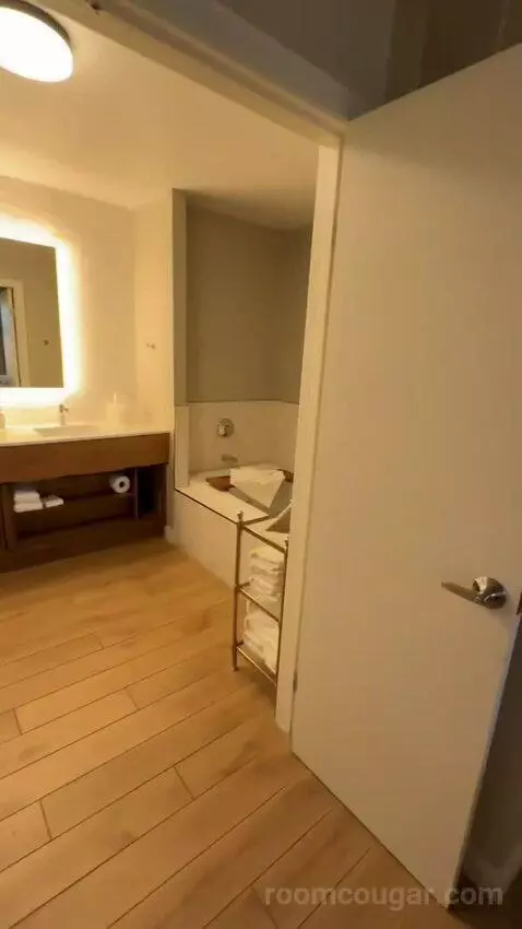 Windansea Suite (#500) bathroom picture #6