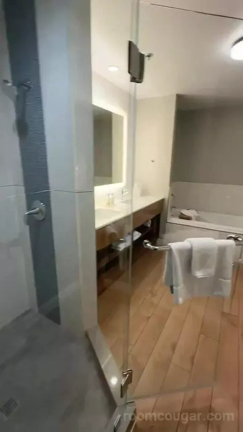 Windansea Suite (#500) bathroom picture #10