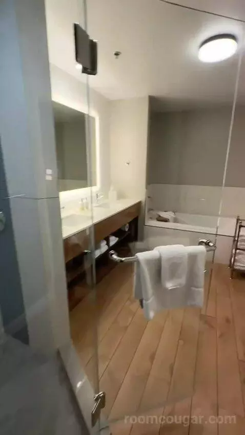 Windansea Suite (#500) bathroom picture #11