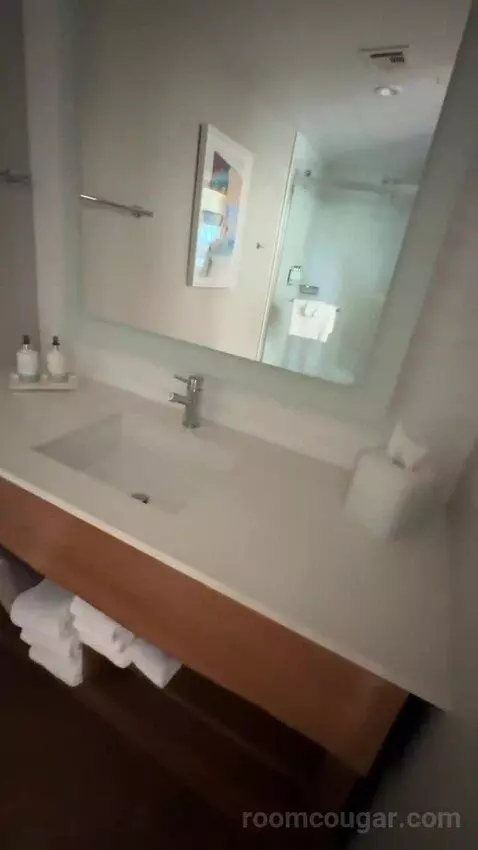 Moonlight Suite (#327) bathroom picture #1