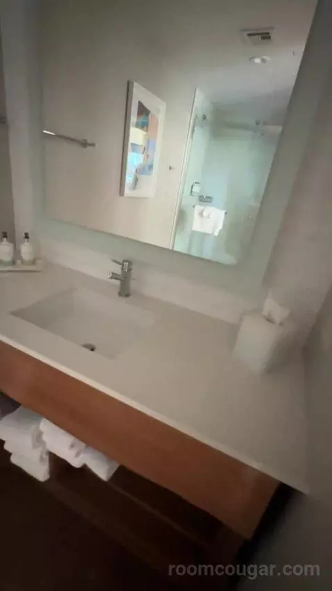 Moonlight Suite (#327) bathroom picture #2