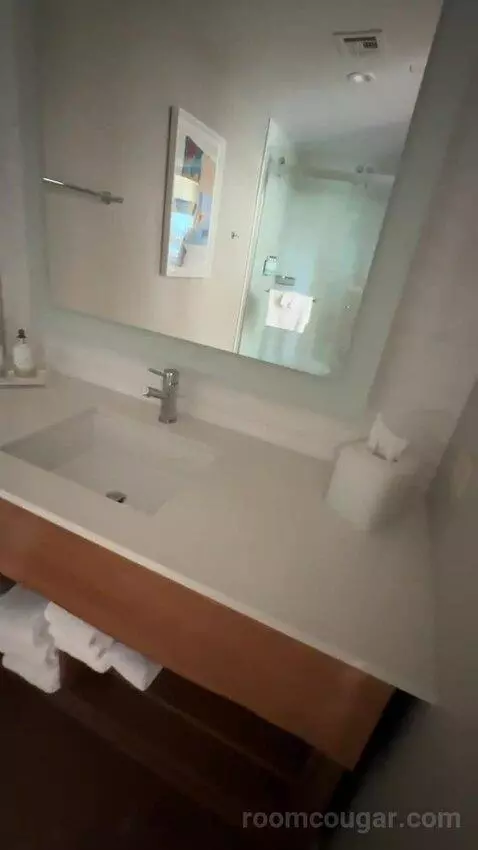 Moonlight Suite (#327) bathroom picture #3