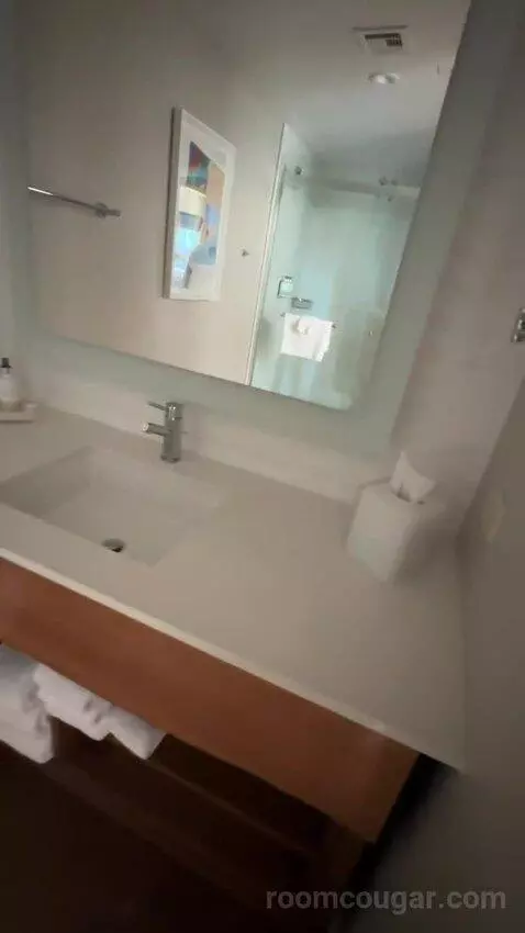 Moonlight Suite (#327) bathroom picture #4