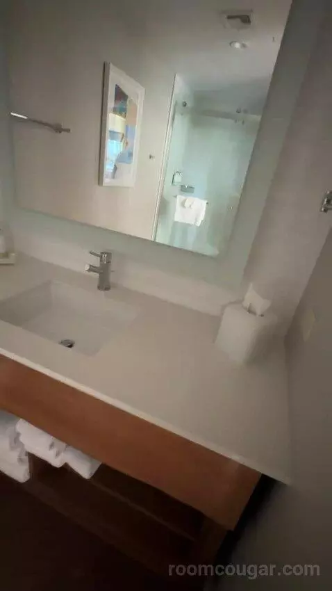 Moonlight Suite (#327) bathroom picture #5