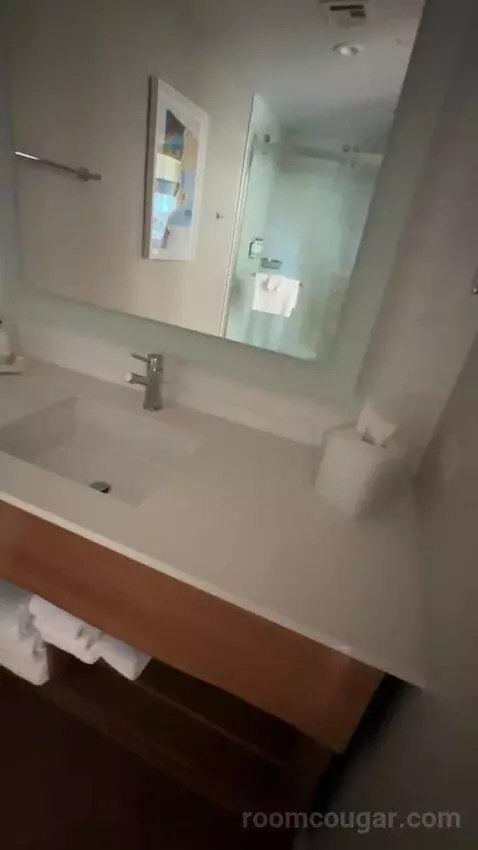 Moonlight Suite (#327) bathroom picture #6