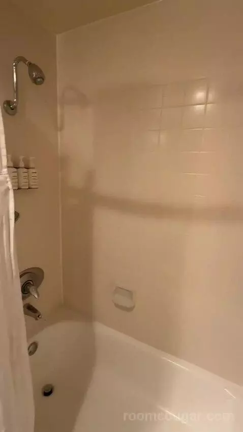 Bay View Tower Suite (#651) bathroom picture #9