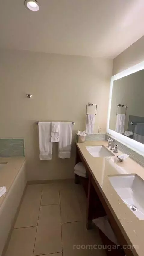 Hibiscus Suite (#610) bathroom picture #9