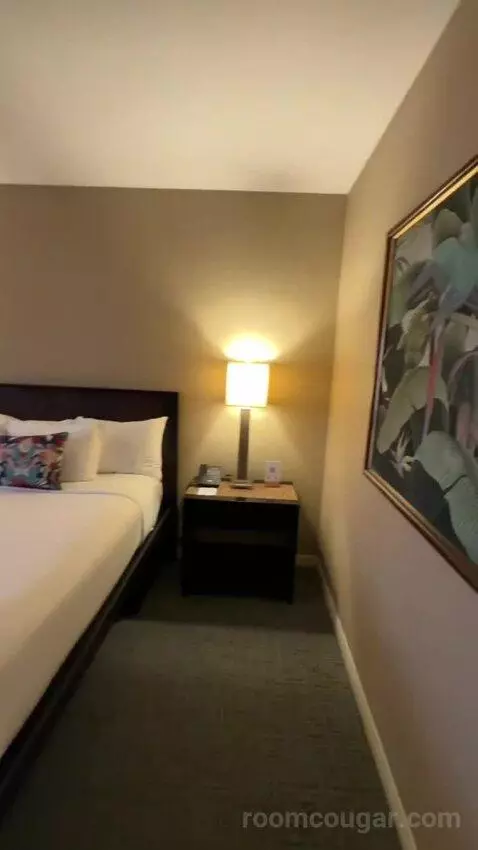 Hibiscus Suite (#610) bed picture #5