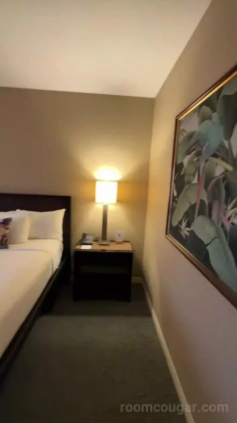 Hibiscus Suite (#610) bed picture #6