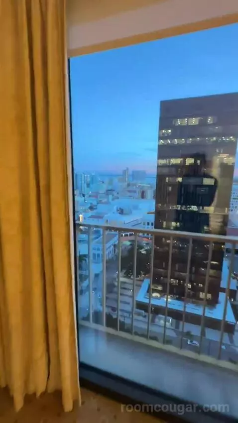 Executive Suite (#1890) view picture #4