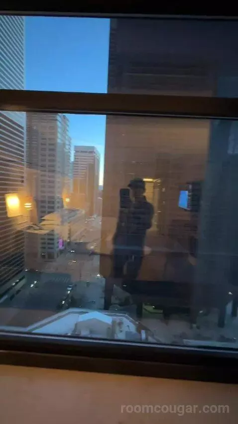 City View King, Deluxe Guest Room, 1 King, City View, High Floor (#1403) view picture #2