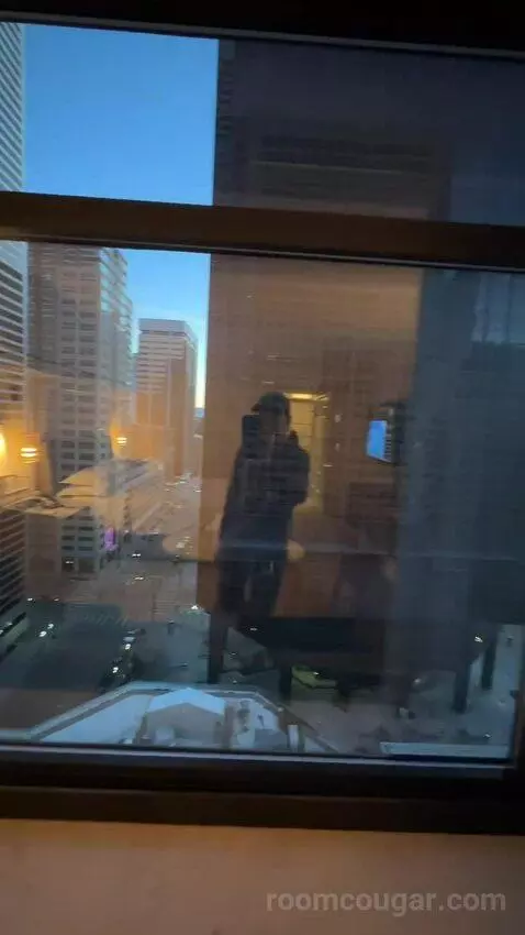 City View King, Deluxe Guest Room, 1 King, City View, High Floor (#1403) view picture #3