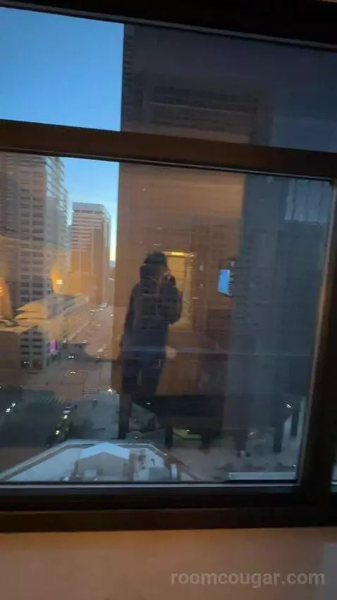 City View King, Deluxe Guest Room, 1 King, City View, High Floor (#1403) view picture #4