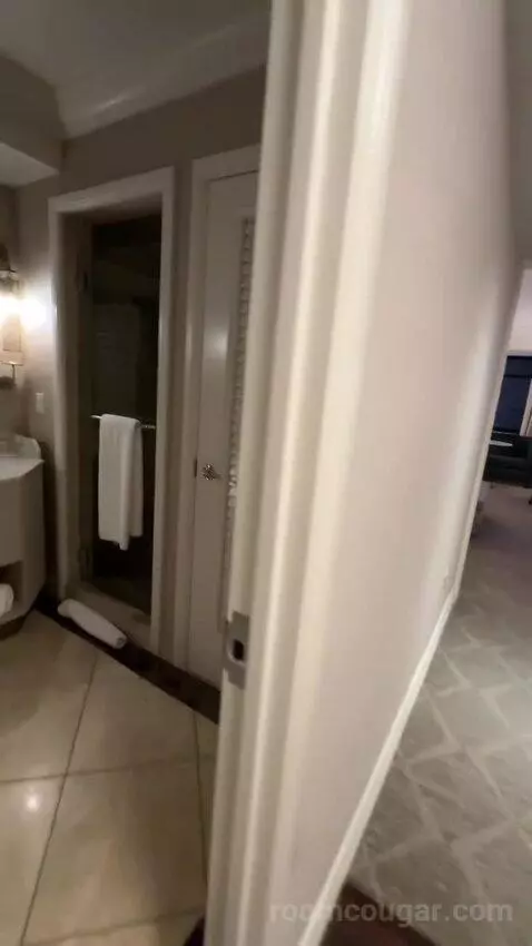 City View King, Deluxe Guest Room, 1 King, City View, High Floor (#1403) bathroom picture #2