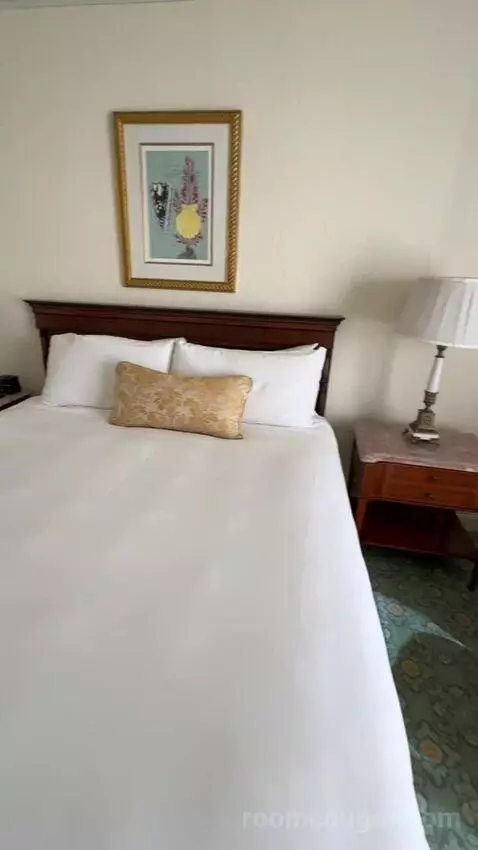 Premier View 1 King Room (#1292) bed picture #4