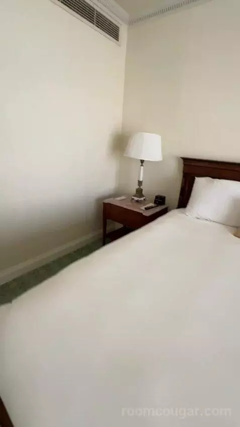 Premier View 1 King Room (#1292) bed picture #9
