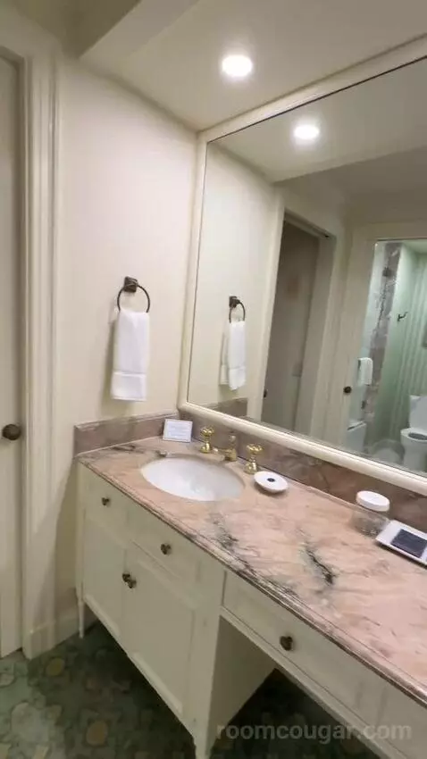 Premier View 1 King Room (#1292) bathroom picture #4