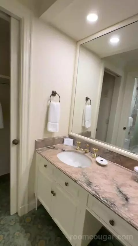 Premier View 1 King Room (#1292) bathroom picture #5