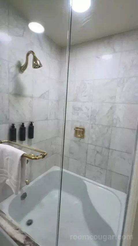 Premier View 1 King Room (#1292) bathroom picture #7