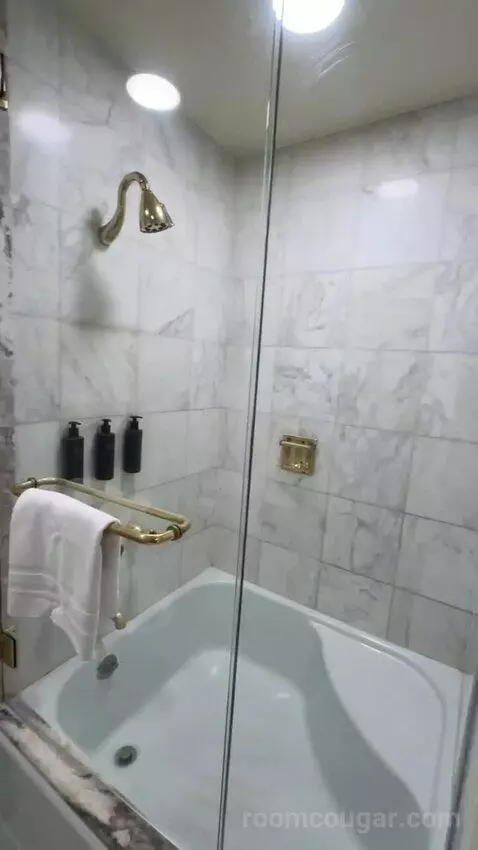 Premier View 1 King Room (#1292) bathroom picture #8