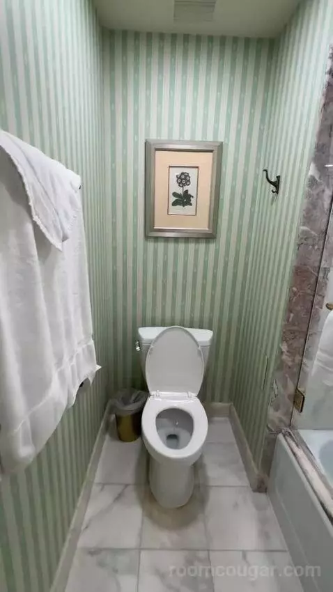 Premier View 1 King Room (#1292) bathroom picture #10