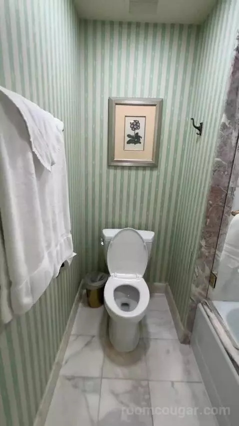 Premier View 1 King Room (#1292) bathroom picture #11