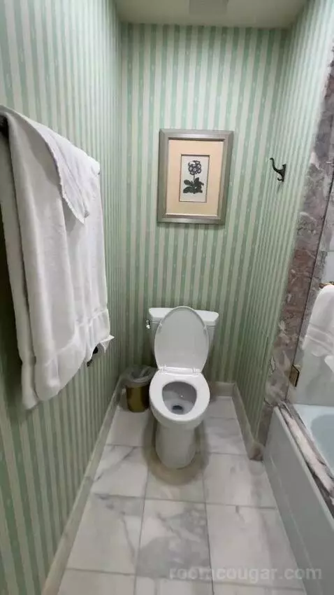 Premier View 1 King Room (#1292) bathroom picture #12