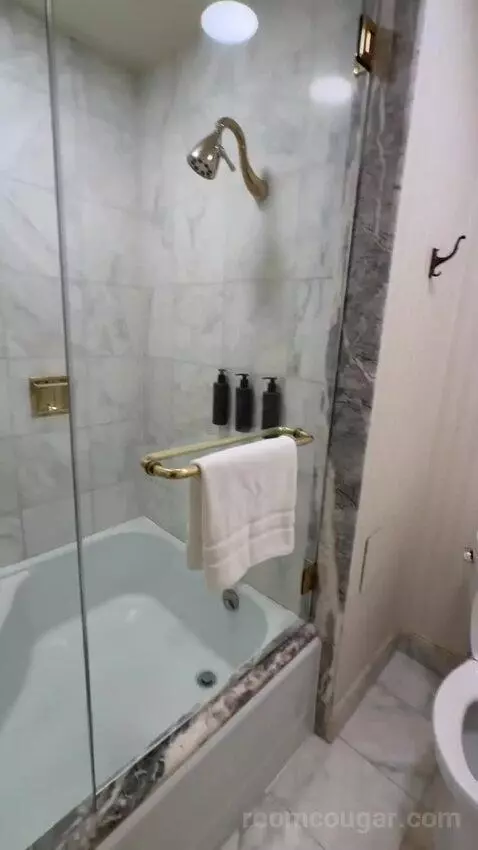Premier View 2 Double Room (#1289) bathroom picture #6
