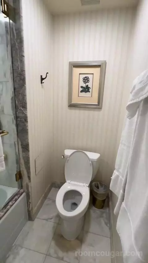 Premier View 2 Double Room (#1289) bathroom picture #7