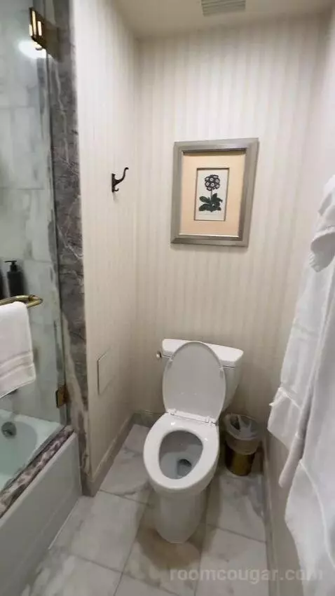 Premier View 2 Double Room (#1289) bathroom picture #8