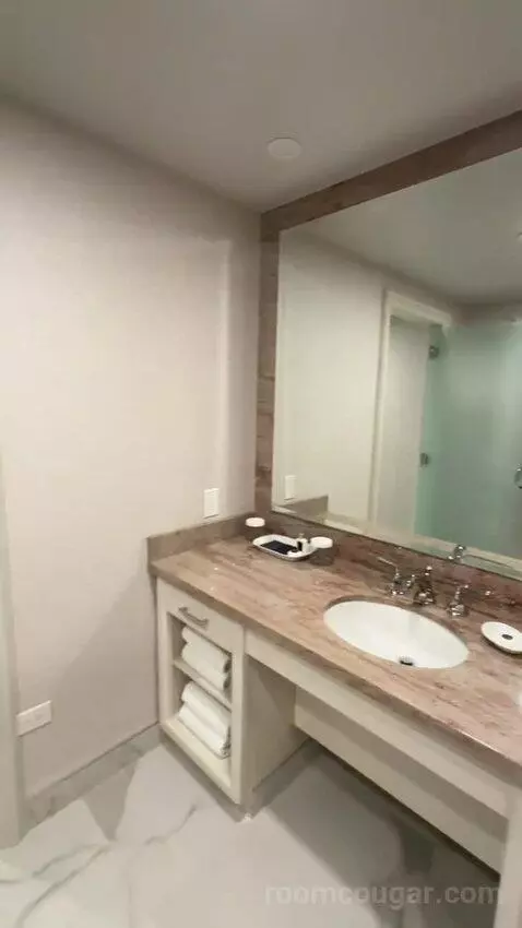 Executive Suite 1 King Bed Accessible (#1892) bathroom picture #6