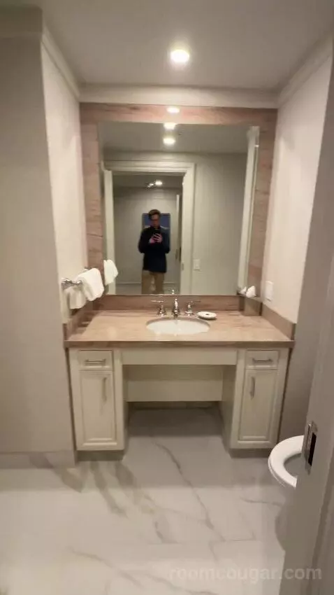 Executive Suite 1 King Bed Accessible (#1892) bathroom picture #1