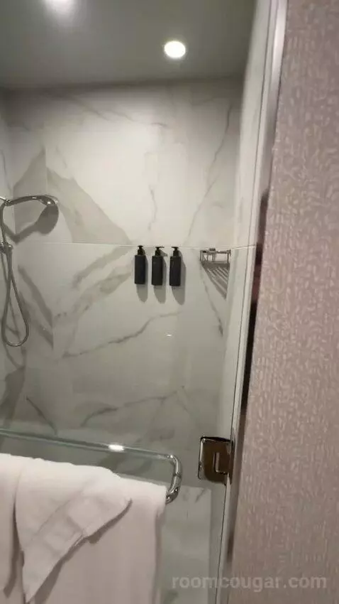 Executive Suite 1 King Bed Accessible (#1892) bathroom picture #8