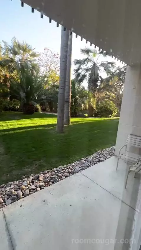 Garden View King (#161) view picture #3