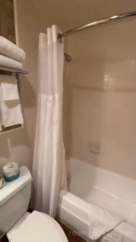 Garden View King (#161) bathroom picture #3