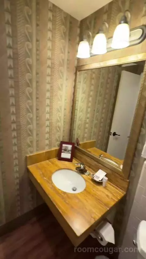 Garden View King (#161) bathroom picture #9