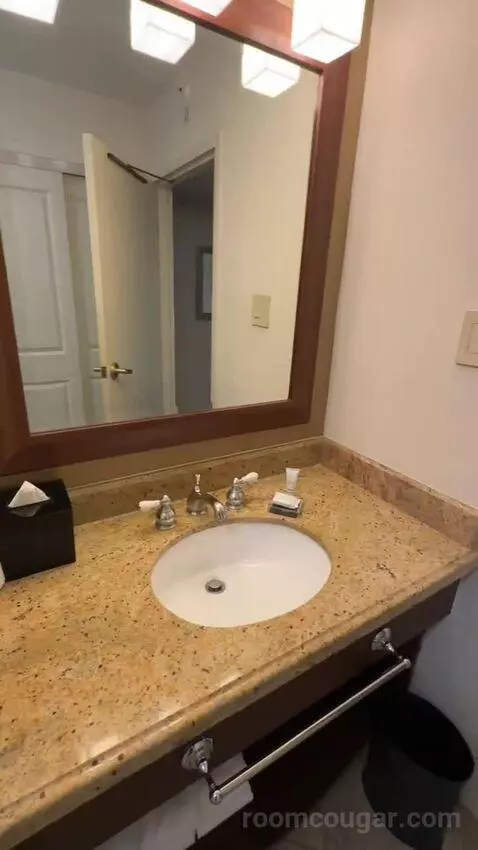 Corner King Room with Balcony (#619) bathroom picture #2