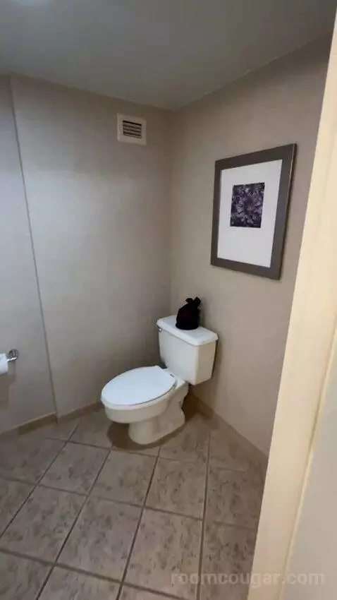 Corner King Room with Balcony (#619) bathroom picture #3