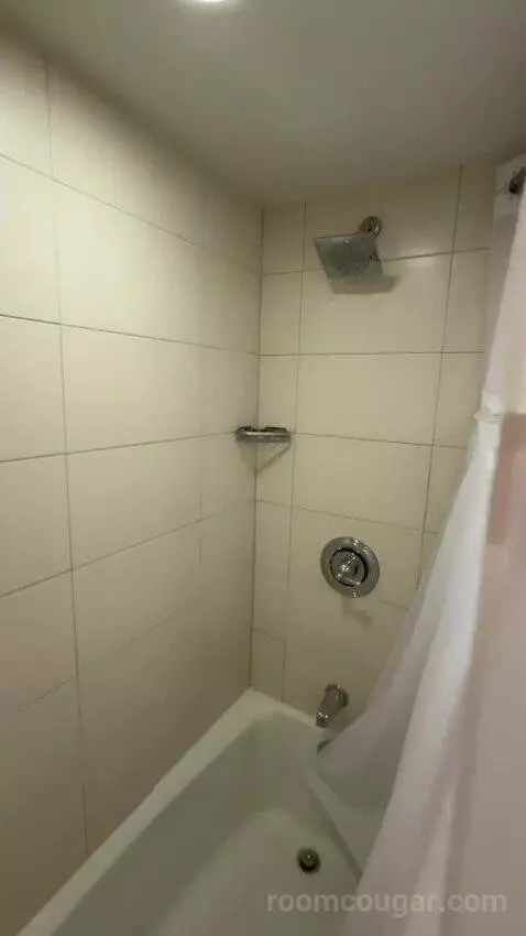 Corner King Room with Balcony (#619) bathroom picture #6