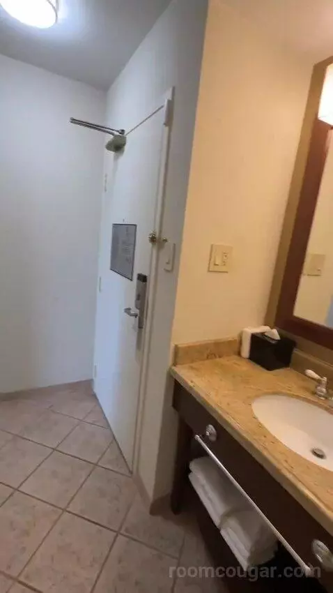 Corner King Room with Balcony (#619) bathroom picture #9