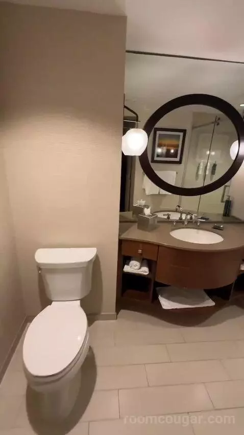 Golf View King Room (#3051) bathroom picture #5