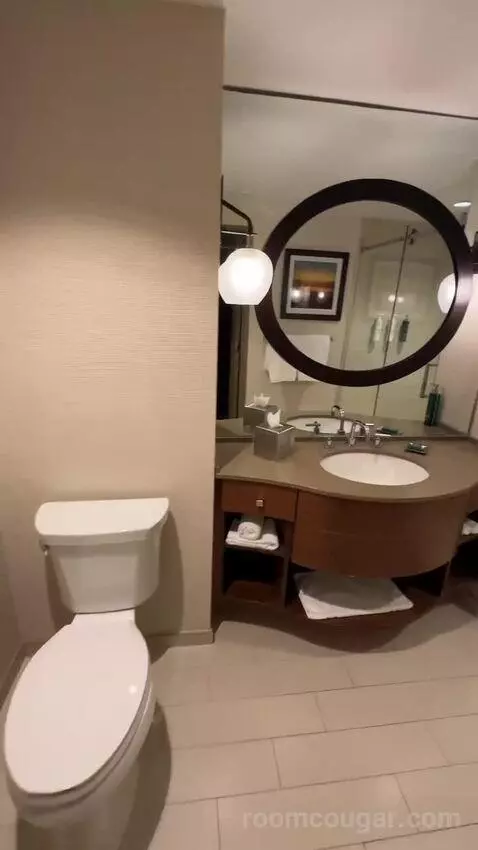 Golf View King Room (#3051) bathroom picture #6