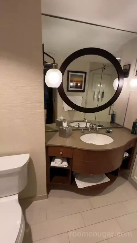 Golf View King Room (#3051) bathroom picture #8