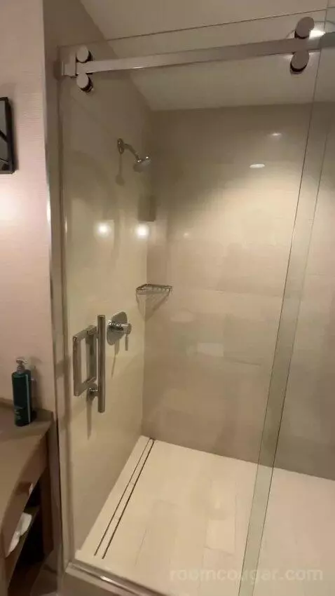Golf View King Room (#3051) bathroom picture #9