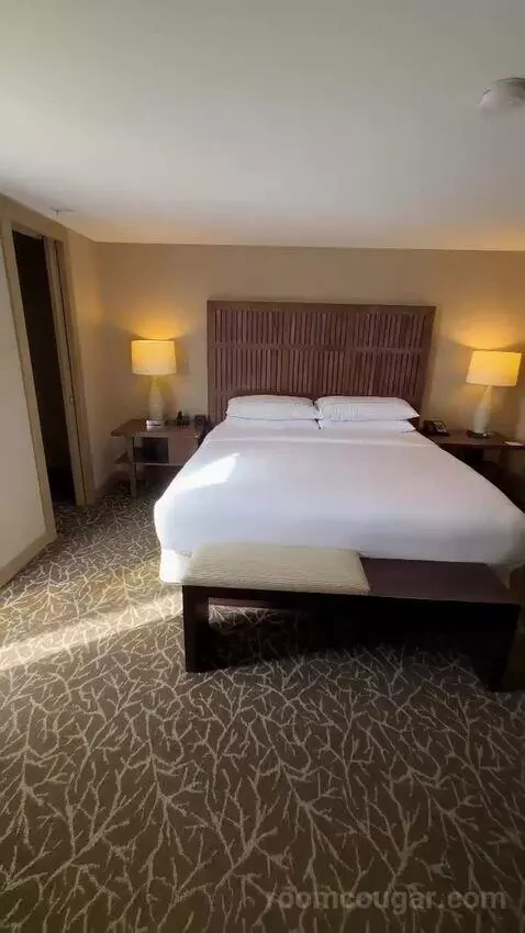 Terrace Suite bed picture #3