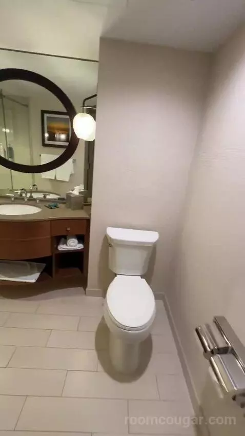 Terrace Suite bathroom picture #1
