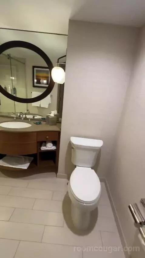 Terrace Suite bathroom picture #2