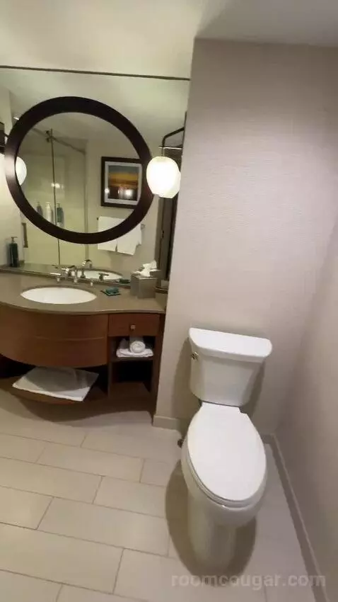 Terrace Suite bathroom picture #3