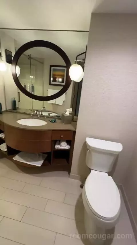 Terrace Suite bathroom picture #4